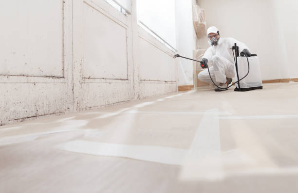 24/7 Emergency Mold Remediation experts in Bridgewater, VA
